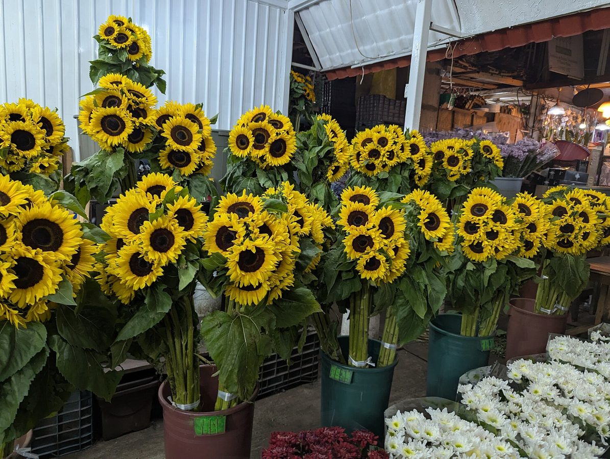 Puestos de flores en el Mercado Jamaica de la Ciudad de México