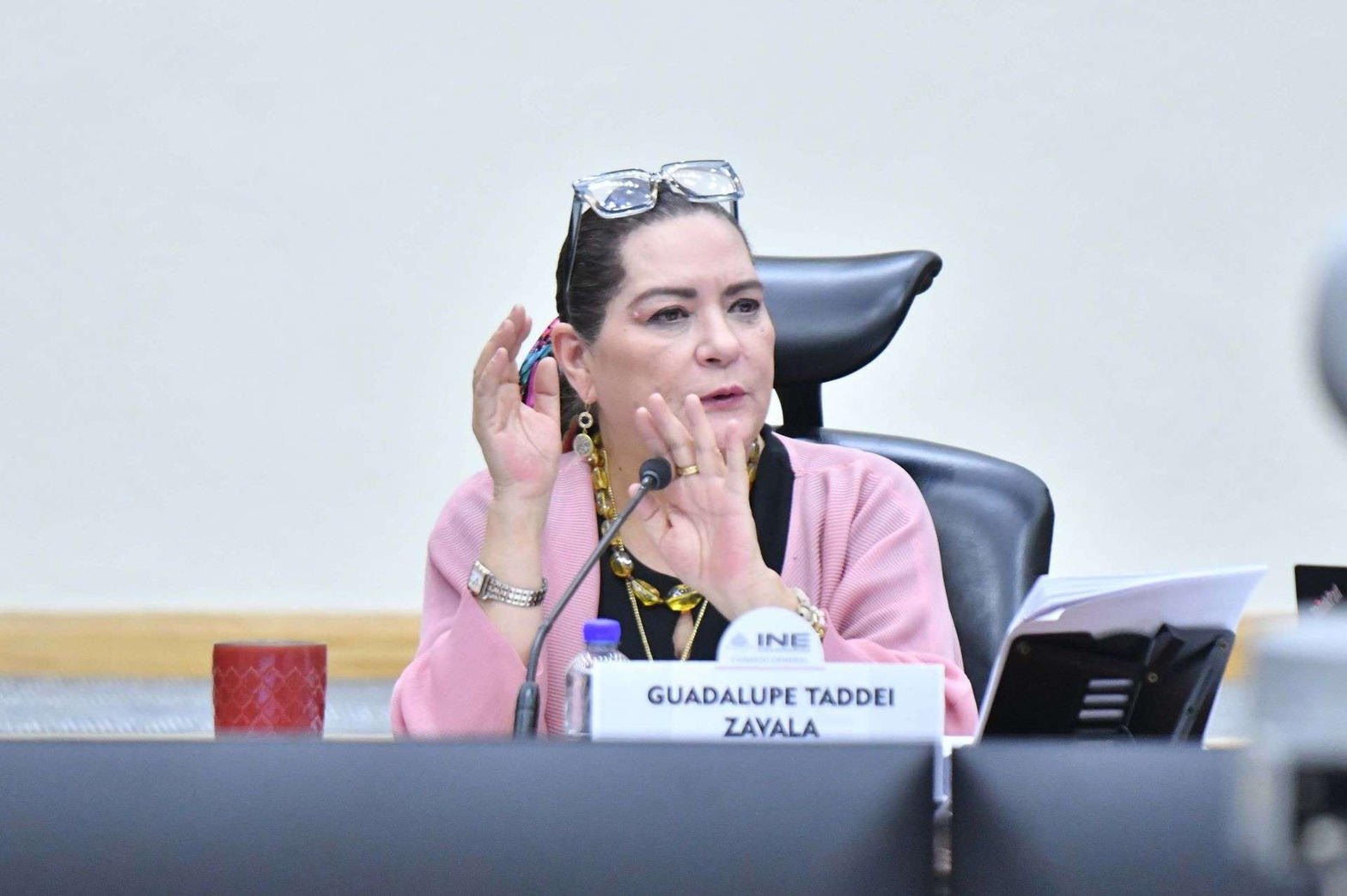 Guadalupe Taddei Zavala, en el Consejo General del INE.