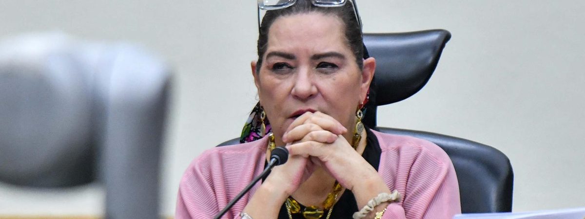 Guadalupe Taddei, en el Consejo General.