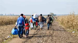 Infraestructura, migración y empleo, entre las acciones que impulsará la Comisión de Asuntos Frontera Sur