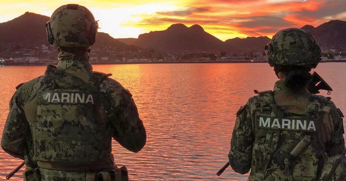Marina en coadyuvancia con Fuerzas de Seguridad, realizó el aseguramiento de 14 vehículos y diverso material en Mazatlán, Sinaloa.