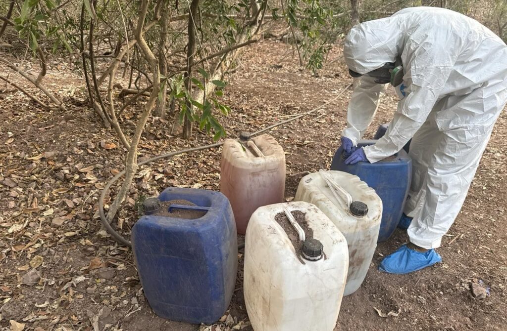 La Armada de México en coadyuvancia con la FGR, localizó y destruyó un laboratorio clandestino en inmediaciones del poblado Bacata, Sinaloa