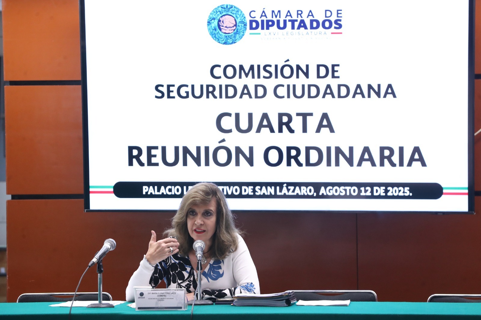 Comisión de la Cámara de Diputados montará exposición fotográfica para resaltar la labor de las instituciones de seguridad