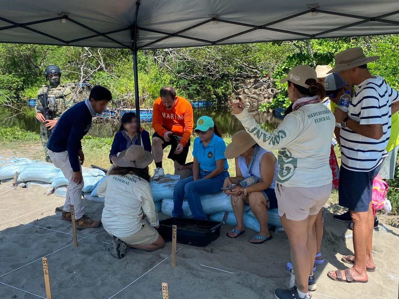 Personal naval brindó seguridad durante la eclosión, nacimiento y regreso al mar de tortugas marinas, en Guerrero