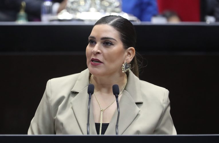 Proponen crear centros de atención de personas especializadas en condición del espectro autista.